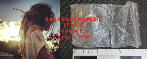 марки lsd Белокуриха