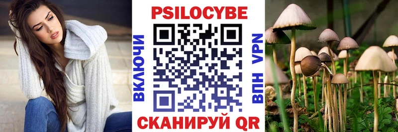 Псилоцибиновые грибы мицелий  Купить  Дивногорск 